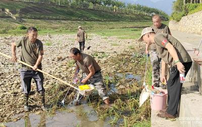 房县退役军人：以护水之行续写南水北调生态守护担当