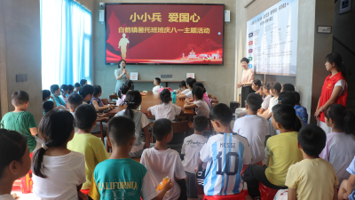 白鹤镇付家村开展"小小兵"红色教育活动