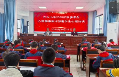 大木厂镇大木小学：为心理“保驾”为健康“护航”