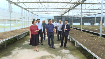 福鼎市政协来房考察大健康产业
