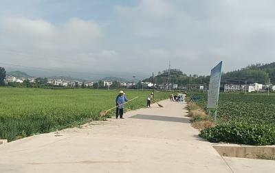 军店镇中村：田间“梳妆”忙，清出好光景