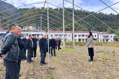 上龛乡：重阳敬老叙情谊  桑榆未晚献良策