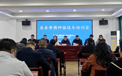 校地合作再深化：湖北中医药大学专家助力我县黄精产业发展