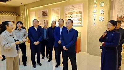 省人大常委会副主任杨云彦来我县调研文化遗产保护与利用工作