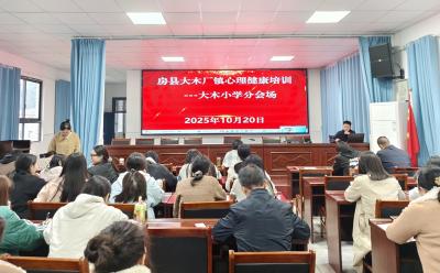 大木厂镇大木小学：教师“心理”再培训 学生“健康”再加强