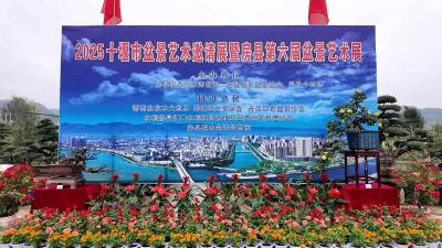 国庆假日好去处 百盆精品盆景亮相我县