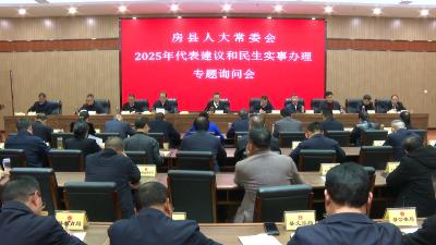 县人大常委会专题询问聚焦代表建议和民生实事办理情况