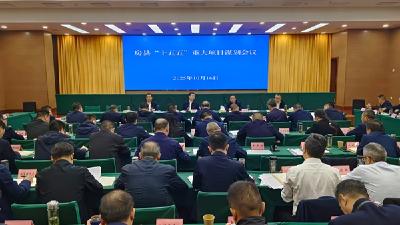 杨丹华在“十五五”重大项目谋划工作会上强调：科学精准谋划重大项目 为高质量发展蓄势赋能