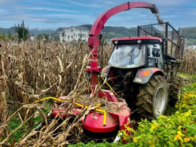 城关镇：玉米秸秆“变废为宝”助力绿色农业循环发展