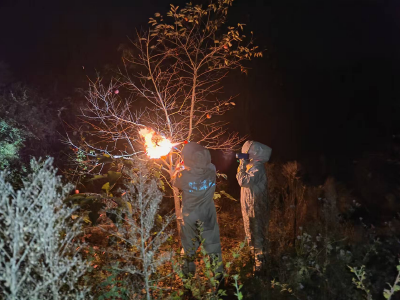 军店消防夜除“蜂患炸弹” 守护居民安心生活