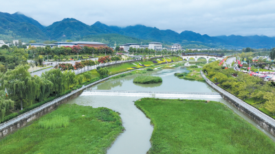 谢晓鸣强调： 扎实做好“五个集中整治”为服务全省支点建设提供坚强保障