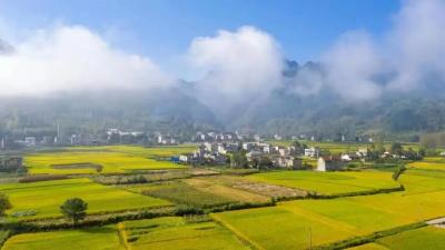 红塔镇民政办：精准发力  兜牢民生保障底线