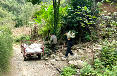 上龛乡：闻汛而动保民安 干群同心转运粮