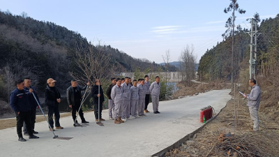 创新“企林联防”新模式！漳兰河酒业与龙驹山林场共筑中坝乡生态屏障   