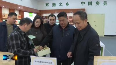 李玉院士专家团队考察我县食用菌产业链建设