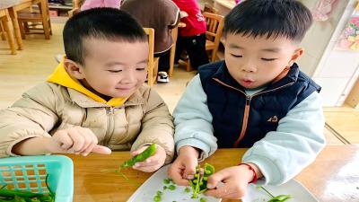 房县幼儿园：以劳育幼 助力成长