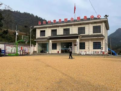 房县军店镇易沟村：金秋晒粮满院香 丰收画卷映初心