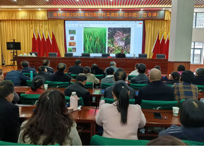   县残联：实用技术培训  让残疾朋友们“有为有位”