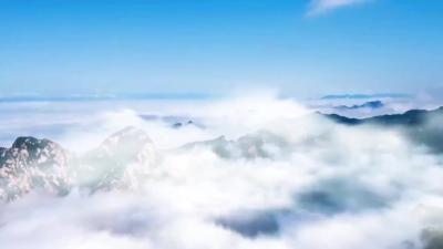 【党旗飘飘】军店镇三溪沟村：党建引领“酿”造新生活