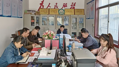 土城镇：代表深耕“四百”行动 织密民生“幸福网”