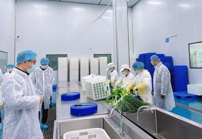 房县东城小学：守护“舌尖安全” 共促健康成长