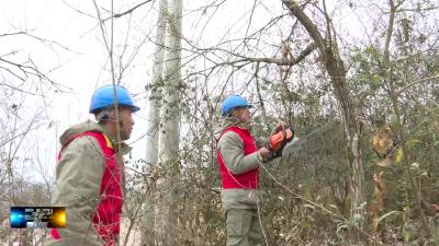 国网房县供电公司：清障护线确保冬季用电安全