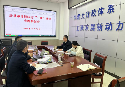 房县审计：以审计之力助推国有“三资”盘活