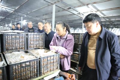 县人大常委会调研组到上龛乡调研