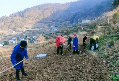 沙河乡：扎实推进秋冬季农业生产工作