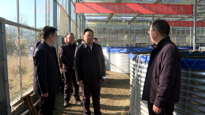 周智勇来房调研重点产业并开展巡林工作