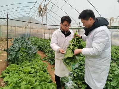 县公检中心：开展农产品例行监测 守护“菜篮子”安全