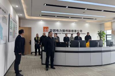 叶艳东带队赴大悟县等地学习调研“十五五”新型能源体系建设等工作 