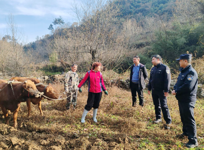 五台乡：部门联动齐发力 田间地头话反诈