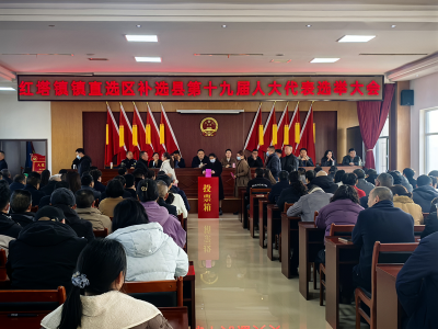 红塔镇：依法补选县人大代表 多措并举深化基层民主实践