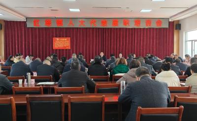 红塔镇：培训赋能强本领 代表履职显担当