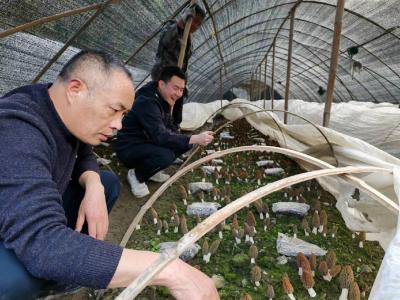 门古寺镇 ：厚植人才沃土 赋能乡村振兴