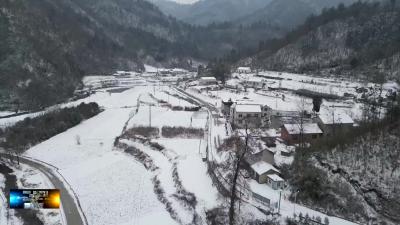 国网房县供电公司：全力清障护线 保障用电安全