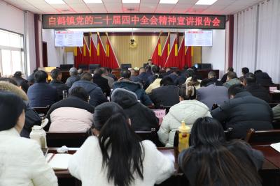 白鹤镇组织开展党的二十届四中全会精神宣讲报告会