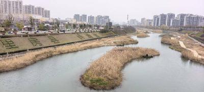 房县荣获全省2025年度河湖长制落实成效显著单位全省仅3家