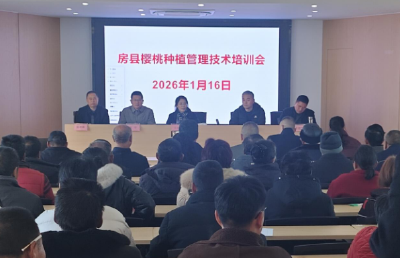 科技赋能促振兴 甜蜜产业再升级 ——房县城关镇开展2026年度樱桃种植管理技术培训会