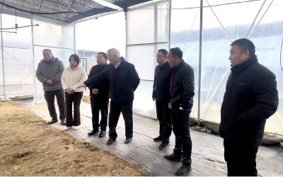 尹伟伦院士调研房县林下经济