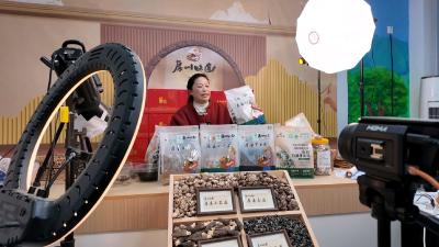 【聚焦建支点奋战开门红】房县小花菇领跑“开门红”