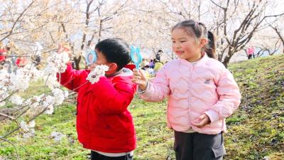 房县幼儿园：童趣探春 乐享自然