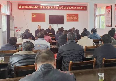 窑淮镇：开展护林员岗前培训 密织森林防火安全网