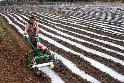 红塔镇：支部领航春耕路 联农带农促振兴