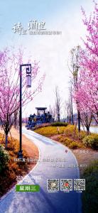 【诗里 酒里 我在诗酒房县等你】南宁路海棠花