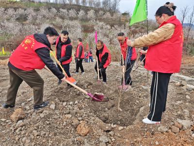 城关镇：义务植树添新绿 携手共建生态宜居城关