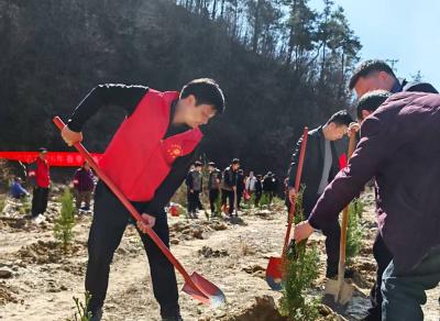 土城镇：义务植树添新绿 生态建设谱新篇