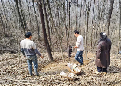 沙河乡：党员带头种天麻 群众抱团奔富路