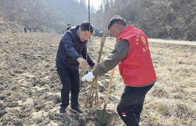 野人谷镇：植绿护绿践初心 绘就生态新画卷